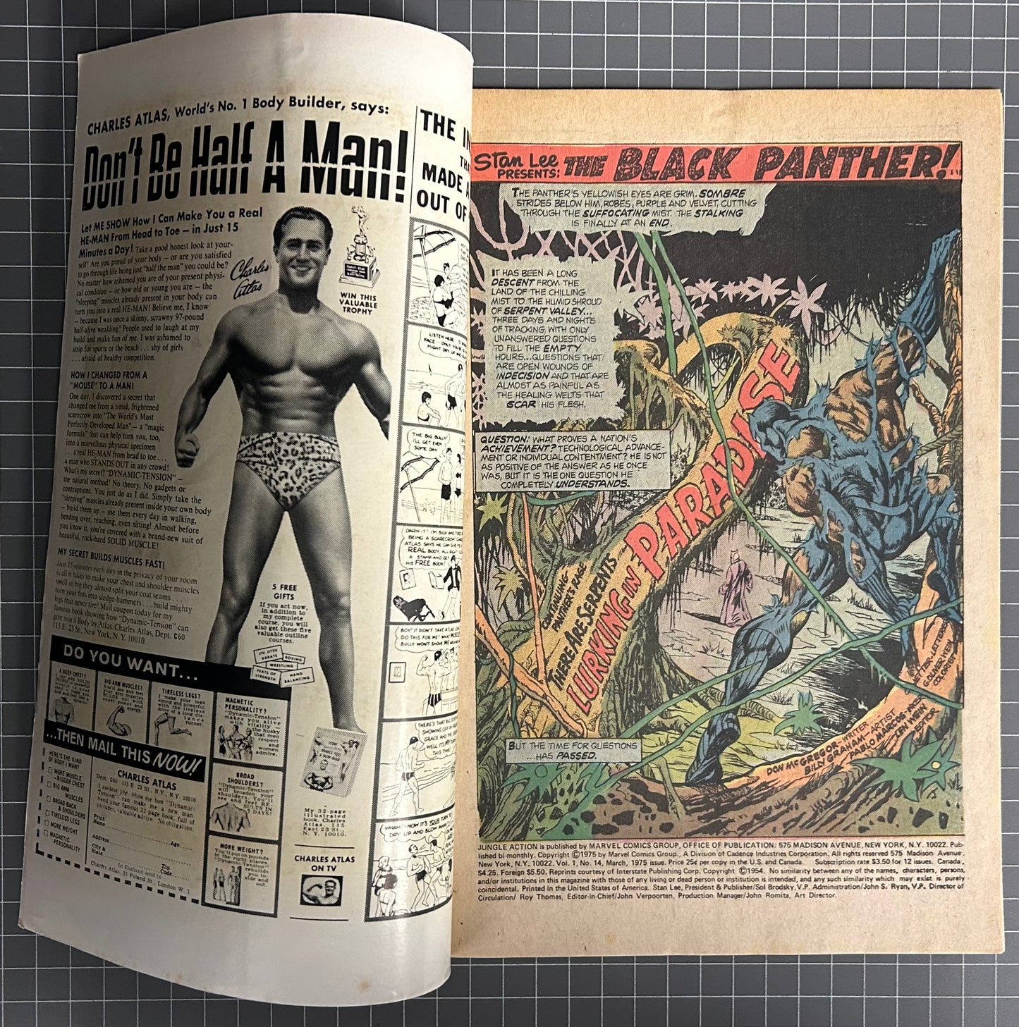 JUNGLE ACTION #14 [MARVEL COMICS] DIRECT 1975 FN+