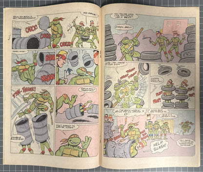 TEENAGE MUTANT NINJA TURTLES ADVENTURES #2 [ARCHIE COMICS] 3RD PRINT 1989 FN/VF