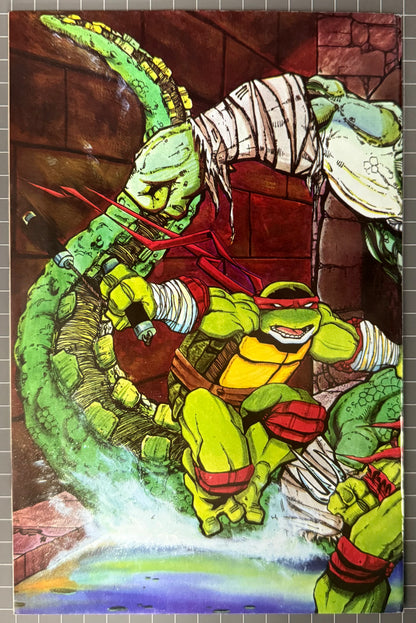 🔑 TEENAGE MUTANT NINJA TURTLES #45 (TMNT) [MIRAGE] *LEATHERHEAD* COMIC 1992 FN/VF