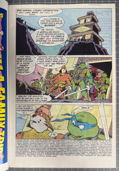 TEENAGE MUTANT NINJA TURTLES ADVENTURES #34 [ARCHIE] NEWSSTAND COMIC 1992 VF/NM