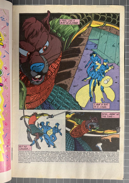 TEENAGE MUTANT NINJA TURTLES ADVENTURES #33 [ARCHIE] NEWSSTAND COMIC 1992 FN