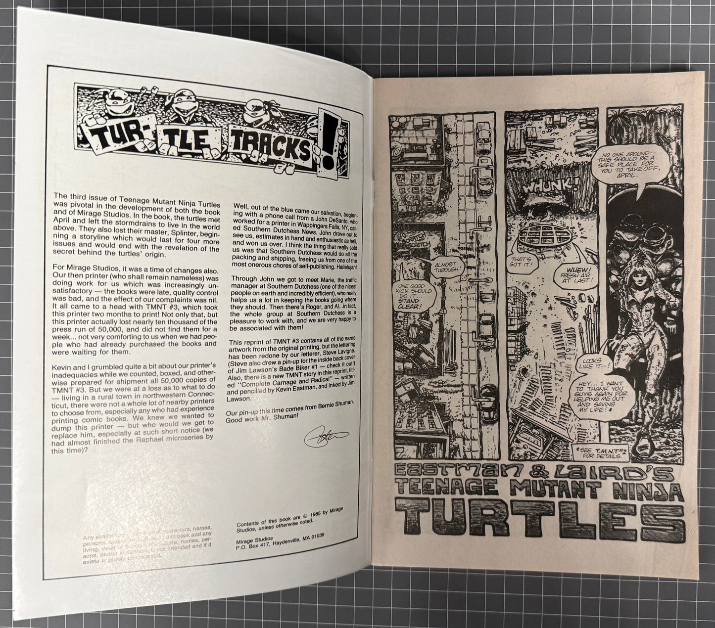 🔑 TEENAGE MUTANT NINJA TURTLES #3 (TMNT) [MIRAGE] 2ND PRINT COMIC 1988 FN/VF