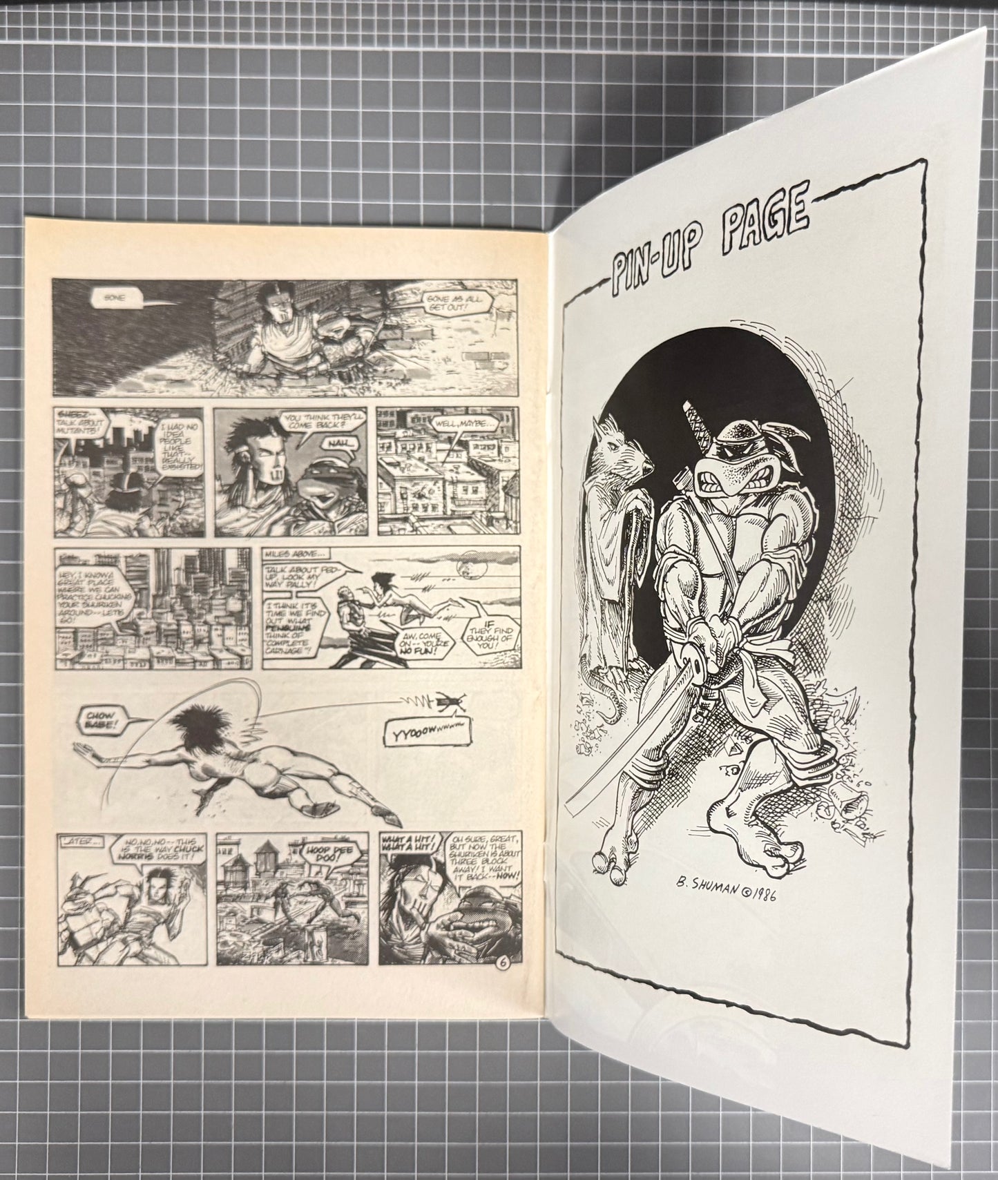 🔑 TEENAGE MUTANT NINJA TURTLES #3 (TMNT) [MIRAGE] 2ND PRINT COMIC 1988 FN/VF