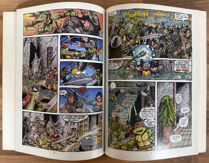 TEENAGE MUTANT NINJA TURTLES #1, 2, 3, 4 SET FIRST GRAPHIC NOVEL EASTMAN LAIRD 1988/89