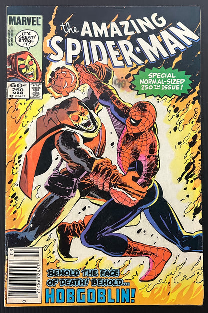 🔑 AMAZING SPIDER-MAN #250 [MARVEL COMICS] *COVER ART FT. HOBGOBLIN* 1984 VG+
