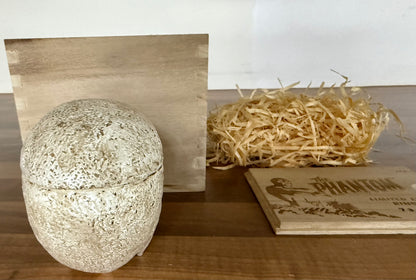 THE PHANTOM SKULL & GOOD MARK LIMITED EDITION RING SET - IKON COLLECTABLES